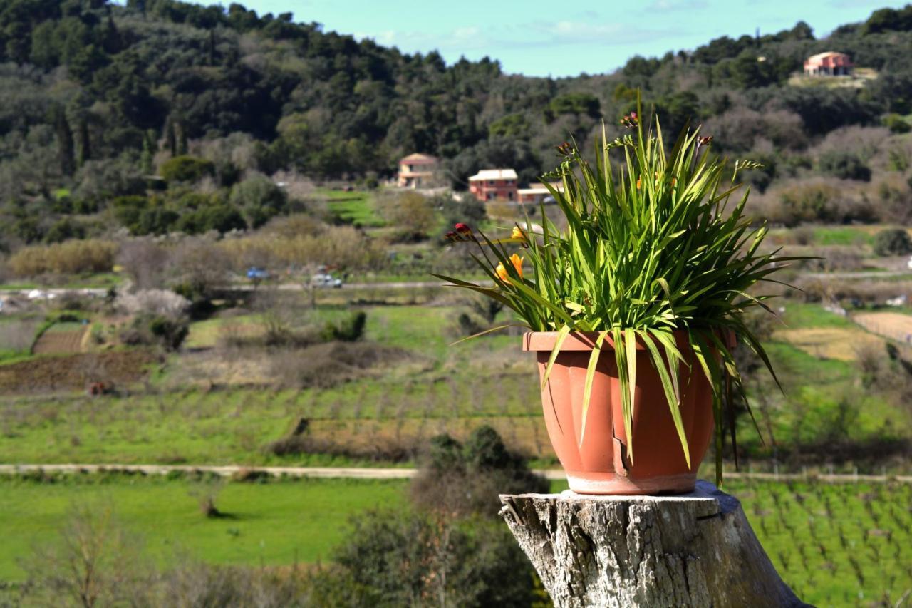 Villa Skafonas Sinarádes Dış mekan fotoğraf
