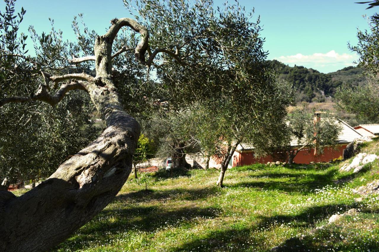 Villa Skafonas Sinarádes Dış mekan fotoğraf