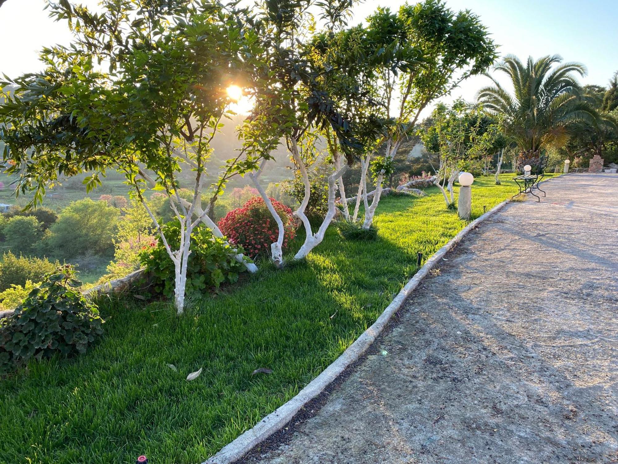 Villa Skafonas Sinarádes Dış mekan fotoğraf